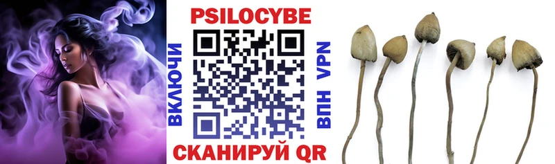 Псилоцибиновые грибы Psilocybine cubensis  Аксай 